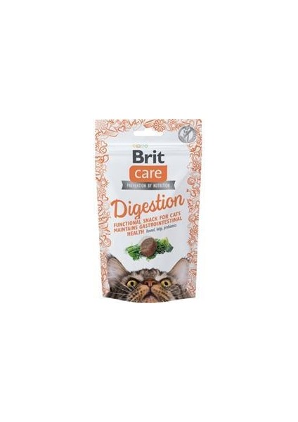Cat Snack Digestion Sındirim Sistemi Için Kedi Ödülü 50 gr