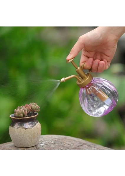 Yeşil Stil 350ML Bitki Çiçek Sulama Sprey Şişesi Dikim Succulents Su Isıtıcısı Bitki Sulama Sulama Potu Küçük Bahçe Aletleri Malzemeleri (Yurt Dışından) fırsatları