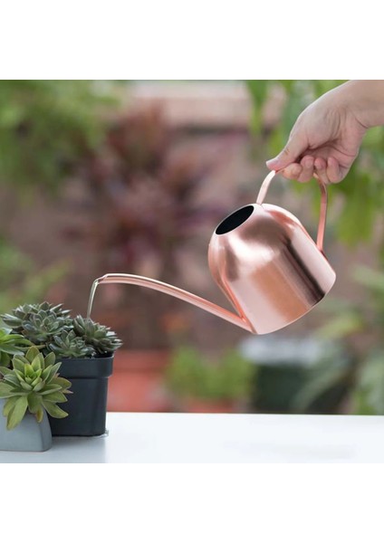 500ML Tarzı Paslanmaz Çelik Çiçek Sulukları Için Sulama Potu Şişe Sulama Yağmurlama Taşınabilir Ev Saksı Bitki Waterer Bahçe Aracı (Yurt Dışından)