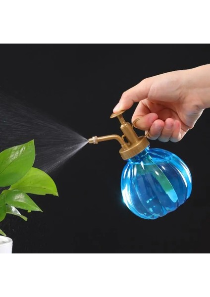 Mavi Stil Bitki Etli Çiçekler Sulama Su Isıtıcısı Retro Kabak Püskürtme Su Isıtıcısı Püskürtücü Su Kutuları Bahçe Malzemeleri (Yurt Dışından) fiyatları