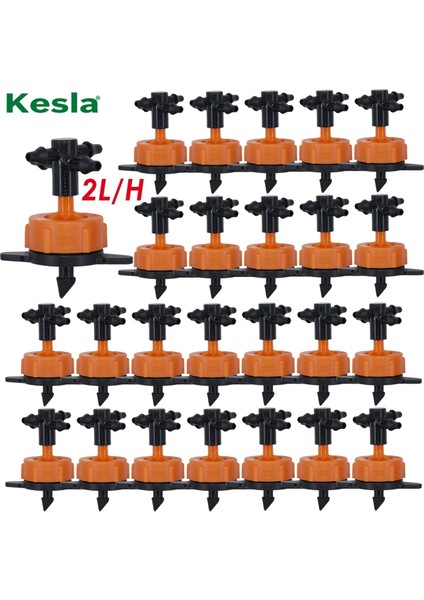 2-WAY-4L-20PCS Tarzı Damla Sulama 2lll Sabit Akış Damlatıcı 4 Yollu Çapraz Bağlayıcı Tarım Damla Su Sulama Damla Ok Parçaları 20 Takım (Yurt Dışından) indirimleri