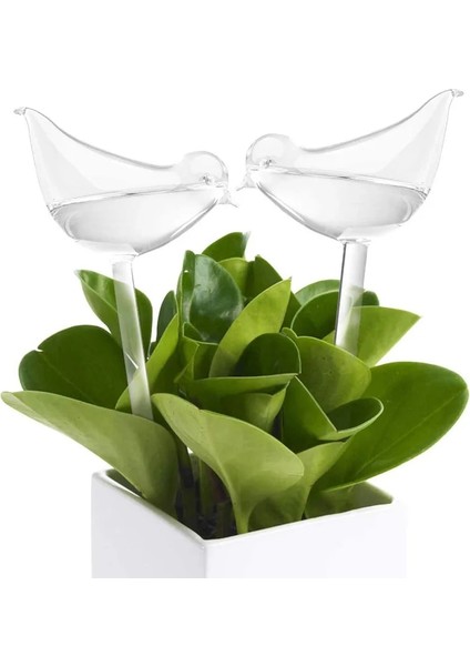 Yıldız Stili Otomatik Kendinden Sulama Cihazı Houseplant Bitki Pot Sulama Ampulleri Kuş Şekli Bahçe Sulama Tesisi Çiçek Sulama Aracı (Yurt Dışından) fiyatları
