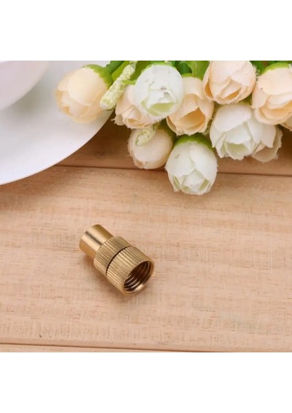 5 Adet Yeni Ayarlanabilir Pirinç Atomize Püskürtücü Çim Bahçe Yağmurlama Başlıkları Soğutma Sisleme Buğulanma Nozulları Bahçe Fıskiyesi (Yurt Dışından) fiyatları