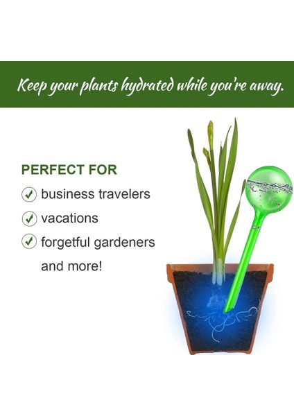 6 Adet Karışık S Takım Stili Otomatik Bitki Kendinden Sulamalı Ampul Topları Ev Bahçe Can Houseplant Cihazı Damla Sulama Sistemi Çiçek Su Besleyici (Yurt Dışından) fiyatları