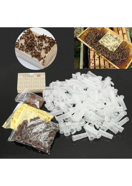 Bir Stil Resim Olarak Plastik Arı Hücresi Kupası Arıların Daha Iyi Yetiştirilmesi ve Yönetimi Ana Kraliçe Yetiştirme Sistemi Yetiştirme Kutusu Arıcılık Aleti (Yurt Dışından) fiyatları