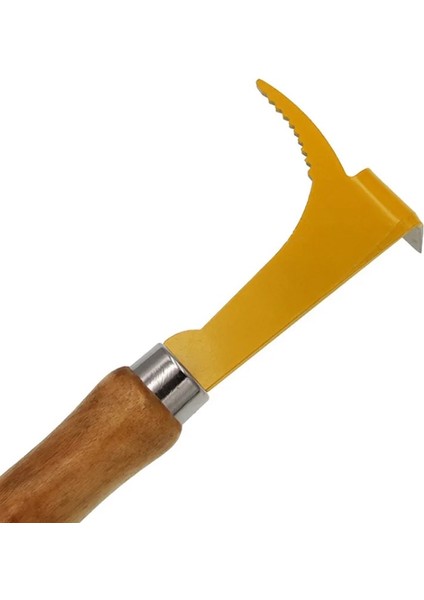 Resim Gösterilen Stil Olarak M Beden 1 Takım Paslanmaz Çelik Arı Kazıyıcı ve Arı Kafesi Arı Kovanı Ekipmanları Arıcı Için Çok Fonksiyonlu Kapaksız Arıcılık Aracı (Yurt Dışından)