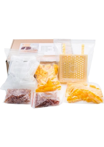 120 Hücreli Fincan Stili Karl Jenter Kraliçe Arı Yetiştirme Larva Eğitim Başlangıç ​​seti Arıcılık Için Jenter Kraliçe Yetiştirme Seti Arı Yetiştiriciliği Için (Yurt Dışından)