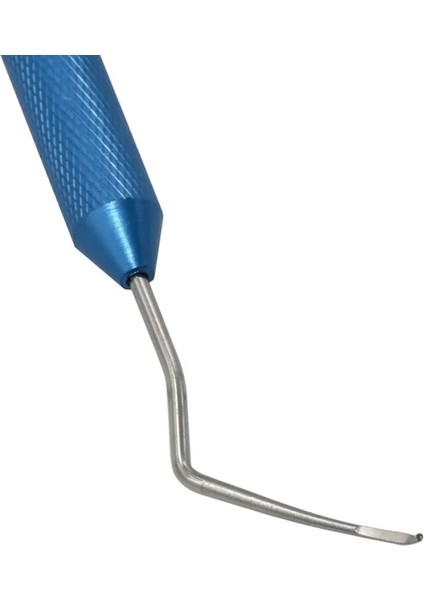 Sarı Stil M Beden Paslanmaz Çelik Larva Hareketli Aşılama Iğnesi Arıcılık Araçları Bal Arısı Kraliçe Yetiştirme Larva Sistemi Arıcı Için Solucanları Taşı (Yurt Dışından) fırsatları