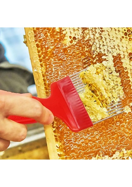 Kırmızı Stil Arı Araçları Arı Balı Alet Düz Iğneler Kapak Açma Çatalları Sap Paslanmaz Çelik Bal Seyrek Tırmık Kürek Tarak Arı Ekipmanları (Yurt Dışından) modelleri