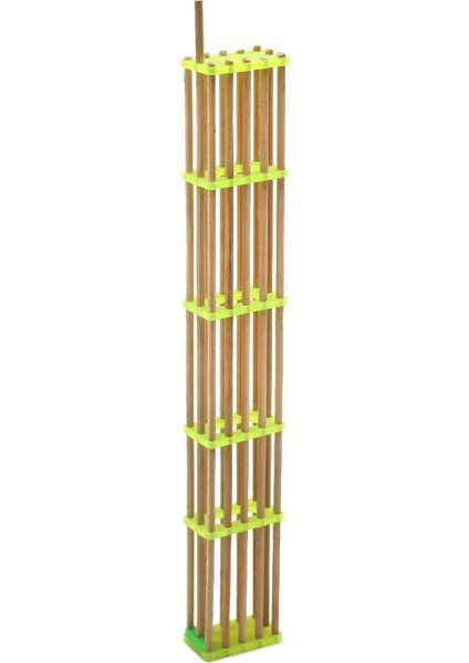 Yeşil Stil Arı Kraliçesi Kafesi Kraliçe Arı Beş Uzatılmış Bambu Kafes Arıcılık Araçları Arıcı Arıcılık Ekipmanları (Yurt Dışından) fırsatları