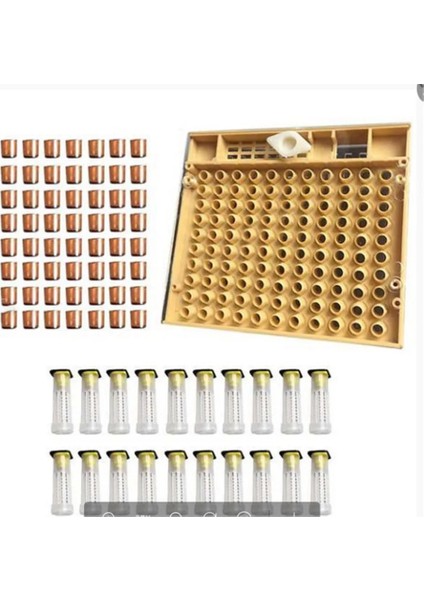 Açık Gri Tarzı Arıcılık Alet Takımı Kraliçe Yetiştirme Sistemi Yetiştirme Kutusu Ell Bardaklar Arı Nicot Komple Catcher Kafes Arıcılık Ekipmanları (Yurt Dışından)