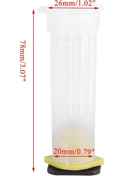Resim Stili Olarak Arı Kraliçesi Hücresi Arıcılık Kraliçe Hücre Kafesleri Plastik Kafesler Yetiştirme Kutusu Yeni Kral Arılar Araçları Ekipman Tabanı Celular Apicultura Accesorios (Yurt Dışından) modelleri