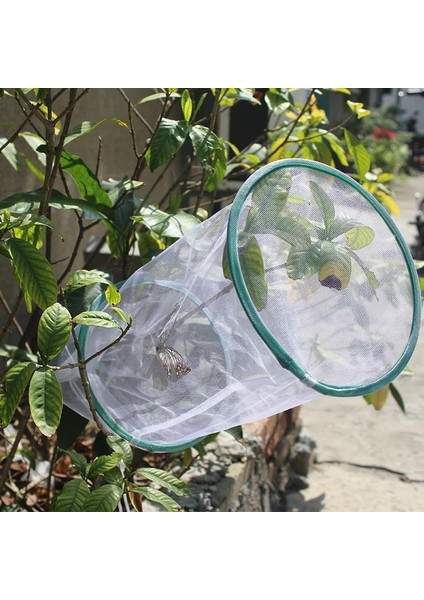 Beyaz Stil 20 cm Ila 48 cm Böcek Kafesi Şeffaf Asılı Doğa Gözlem Havalandırmalı Kelebek Arı Yaşam Alanı Ev Yetiştirme Aracı (Yurt Dışından) modelleri