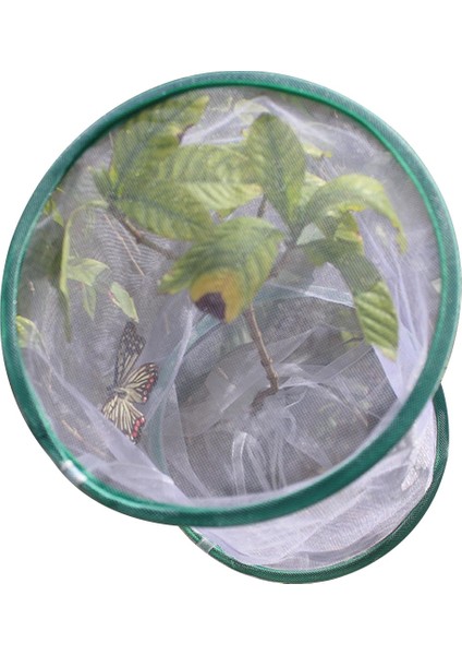 Beyaz Stil 20 cm Ila 48 cm Böcek Kafesi Şeffaf Asılı Doğa Gözlem Havalandırmalı Kelebek Arı Yaşam Alanı Ev Yetiştirme Aracı (Yurt Dışından) fırsatları