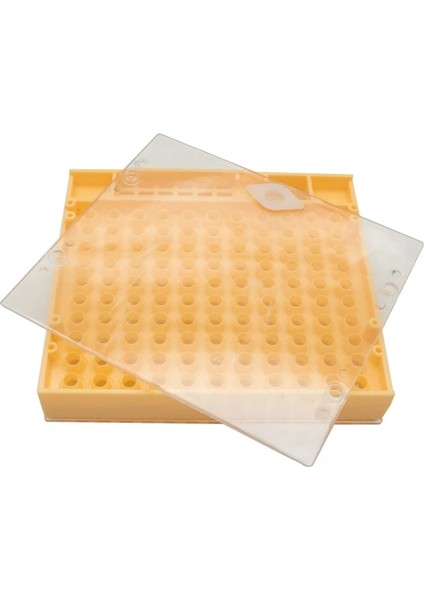 Açık Gri Tarzı M Beden Sıcak Satış Arıcılık Alet Takımı Kraliçe Yetiştirme Sistemi Yetiştirme Kutusu Hücre Bardakları Arı Nicot Komple Catcher Kafes Arıcılık Ekipmanı (Yurt Dışından) fiyatları