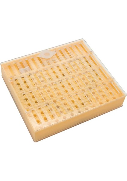 Açık Gri Tarzı M Beden Sıcak Satış Arıcılık Alet Takımı Kraliçe Yetiştirme Sistemi Yetiştirme Kutusu Hücre Bardakları Arı Nicot Komple Catcher Kafes Arıcılık Ekipmanı (Yurt Dışından) modelleri
