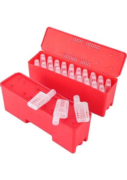 Arıcı Malzemeleri Kraliçe Kafesli Kraliçe Arı Taşıma Kutusu Yetiştirme Ekipmanları Kraliçe Hücre Plastik Kuluçka Arıcılık Aracı 1 Takım (Yurt Dışından)