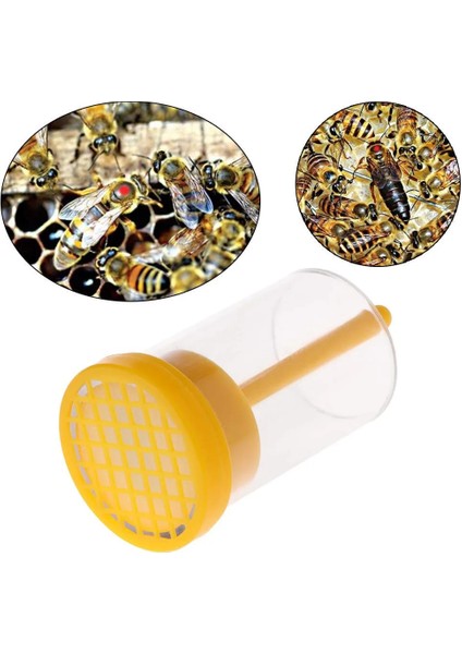 Sarı Stil Kraliçe Arı Işaretleyici Şişe Korumak Emniyet Arı Yakalayıcı Sarı Plastik Çiftlik Işaretleyici Şişe Piston Peluş Bahçe Arıcı Aksesuarları (Yurt Dışından) fırsatları