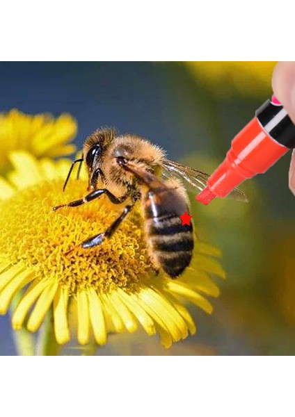 Beyaz Stil 1 Adet Kraliçe Işaretleme Işaretleyici Kalem Arıcılık Arılar Araçları Arılar Işareti Plastik Işaretleri Kalem Araçları Fosforlu Tedarikçi Ekipmanları Benim Sipariş (Yurt Dışından)