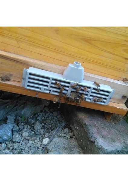 Rastgele Renk Stili M Beden 1 Adet Arı Anti-Kaçış Kutusu Plastik Arıcılık Araçları Arılar Kovan Çerçeve Yuva Kapısı Anti-Run Kral Kraliçe Arıcılık Arıcı Tedarikçisi (Yurt Dışından)