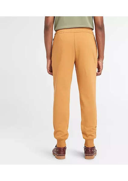 Brushed Back Sweatpant Erkek Sarı Eşofman Altı TB0A5YFBP471
