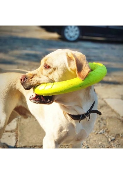 No.3 Tarzı S Beden Pet Uçan Diskler Eva Köpek Eğitim Halkası Çektirme Dayanıklı Bite Yüzen Oyuncak Köpek Yavrusu Açık Interaktif Oyun Oynama Ürünleri Temini (Yurt Dışından) modelleri