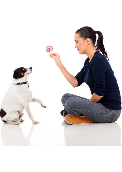 PT001-MAVI Kalp Stili Chew Play Oyuncaklar Sevimli Pet Köpek Kedi Köpek Chew Squeaker Quack Ses Bebek Oyuncak Yaratıcı Simülasyon Donut Pet Malzemeleri Köpek Oyuncakları (Yurt Dışından)