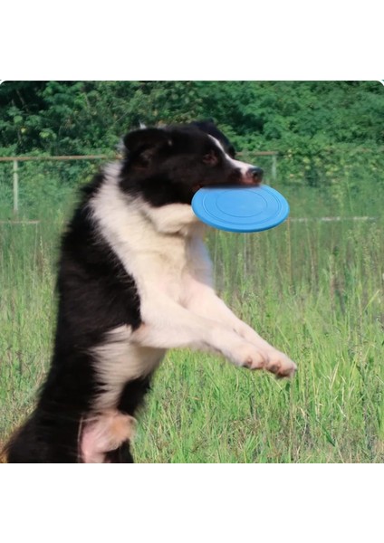 Sarı Stil Et Dog Uçan Diskler Eğitim Uçan Diskler Etkileşimli Isırmaya Dayanıklı Silika Jel Yumuşak Uçan Det Malzemeleri (Yurt Dışından) fırsatları