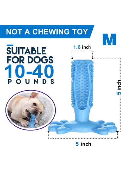 Mavi Stil L Beden Yüksek Li Kauçuk Köpek Diş Fırçası Oyuncak Pet Malzemeleri Fransız Bulldog Molar Sopa Pug Köpek Çiğneme Oyuncak Köpek Aksesuarları Kong Köpek Oyuncakları (Yurt Dışından) indirimleri