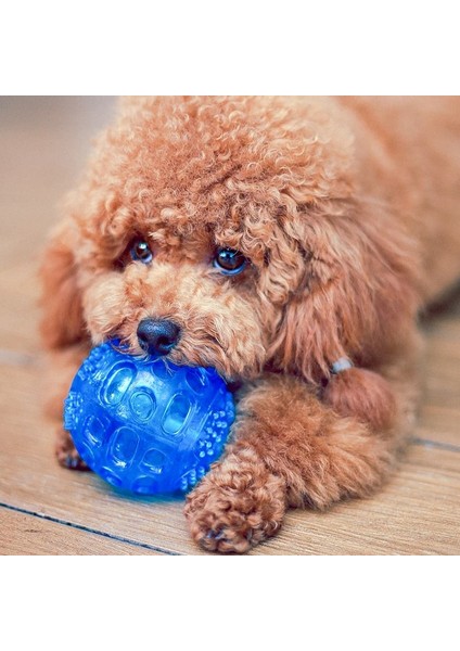 Mavi Stil Köpek Diş Fırçalama Pet Chew Diş Temizleyici Köpek Diş Temizleme Egzersiz Topu Isırmaya Dayanıklı Ses Molar Eğitim Topu (Yurt Dışından) modelleri