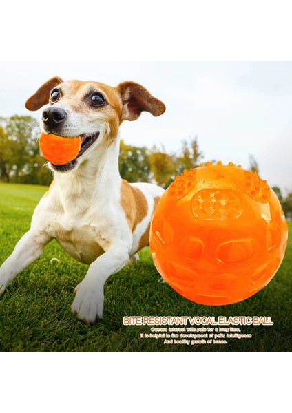 Mavi Stil Köpek Diş Fırçalama Pet Chew Diş Temizleyici Köpek Diş Temizleme Egzersiz Topu Isırmaya Dayanıklı Ses Molar Eğitim Topu (Yurt Dışından) fırsatları