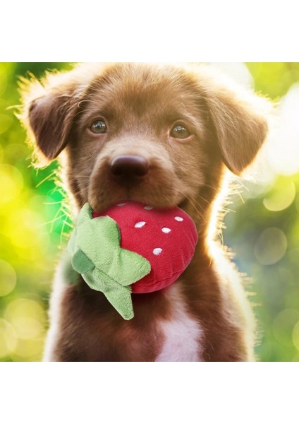 Muz Tarzı Köpek Oyuncakları Cızırtılı Oyuncaklar Sevimli Maması Isırmaya Dayanıklı Temiz Köpek Çiğneme Köpek Yavrusu Eğitim Oyuncak Yumuşak Muz Havuç ve Sebze Köpek Aksesuarları (Yurt Dışından) indirimleri