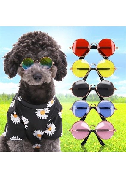 Siyah Stil Sıcak Satış Evcil Hayvan Ürünleri Için Köpek Pet Gözlük Gözlük Köpek Pet Güneş Gözlüğü Fotoğraflar Sahne Aksesuarları Pet Malzemeleri Kedi Gözlükleri (Yurt Dışından) fiyatları