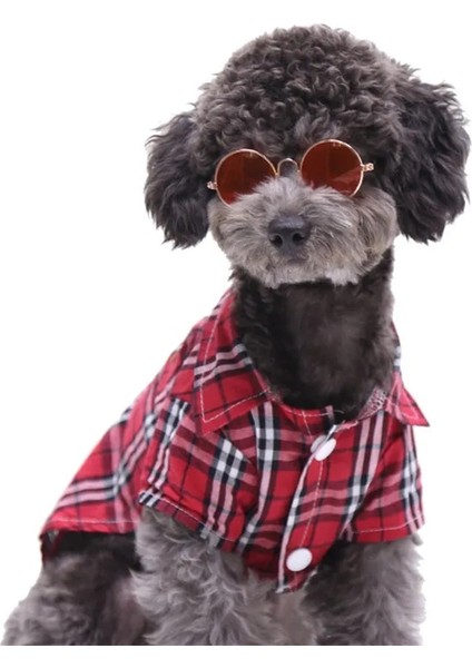 Siyah Stil Sıcak Satış Evcil Hayvan Ürünleri Için Köpek Pet Gözlük Gözlük Köpek Pet Güneş Gözlüğü Fotoğraflar Sahne Aksesuarları Pet Malzemeleri Kedi Gözlükleri (Yurt Dışından) fırsatları