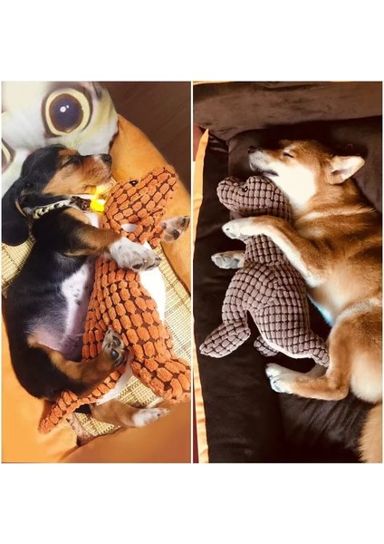 A5 Stili Komik Pet Kedi Köpek Oyuncaklar Sürdürülebilirlik Çiğniyor Oyuncaklar Köpek Aksesuarları Dahili Ses Jeneratörü Hayvanlar Evcil Hayvan Malzemeleri Kedi Oyuncağı (Yurt Dışından)