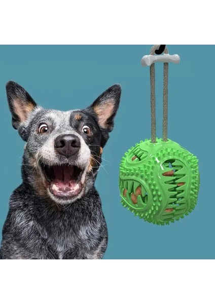 Sarı Stil M Beden Pet Köpek Oyuncakları Köpek Interaktif Lastik Top Köpek Yavrusu Çiğneme Oyuncak Gıda Dağıtıcı Topu Isırmaya Dayanıklı Temiz Dişler Pet Oyun Topları (Yurt Dışından)