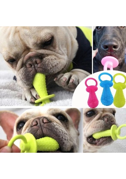 Meme Ucu Stili Küçük Köpekler Için Pet Oyuncaklar Kauçuk Isırma Direnci Köpek Oyuncak Diş Temizleme Chew Eğitim Oyuncak Rastgele Renk Molar Diken (Yurt Dışından) fırsatları