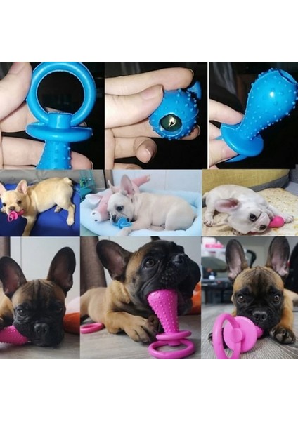 Meme Ucu Stili Küçük Köpekler Için Pet Oyuncaklar Kauçuk Isırma Direnci Köpek Oyuncak Diş Temizleme Chew Eğitim Oyuncak Rastgele Renk Molar Diken (Yurt Dışından) indirimleri