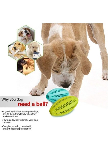 K Tarzı 11CM cm Pet Köpek Oyuncaklar Ekstra-Sert Kauçuk Atlama Oyuncak Etkileşimli Esneklik Topu Köpek Köpek Diş Temizleme Tedavisi Topu Için Köpek Çiğneme Oyuncakları (Yurt Dışından) modelleri