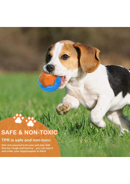 Futbol Oyuncakları Tarzı Kauçuk Köpek Oyuncakları Köpek Çiğneme Isırığı Için Dayanıklı Cızırtılı Eğitim Oyun Oyuncak Interaktif Köpek Oyuncakları Büyük Köpekler Için Diş Temizleme (Yurt Dışından) fiyatları
