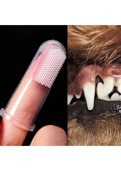 1 Adet Tarzı 5.5cm Köpek Diş Fırçası Pet Parmak Diş Fırçası Köpek Oyuncakları Çevre Koruma Silikon Köpekler Kediler Temiz Dişler Pet Malzemeleri (Yurt Dışından)