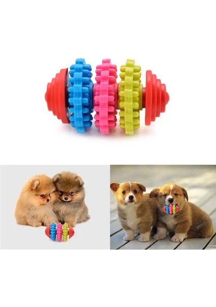 Çok Renkli Stil S Beden Köpek Chew Oyuncaklar Köpek Diş Diş Diş Etleri Isırmaya Dayanıklı Renkli Doğal Kauçuk Diş Temizleme Araçları Köpek Için (Yurt Dışından) fırsatları