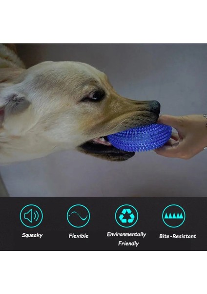Turuncu Tarzı S Beden Dayanıklı Köpek Çiğneme Oyuncakları Agresif Neredeyse Yok Edilemez 100% Doğal Kauçuk Köpek Oyuncakları Için Squeaker ile Köpek (Yurt Dışından) fırsatları