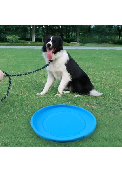 Köpek-Kırmızı Tarzı Çap 22CM Pet Köpek Uçan Diskler Oyuncak Çevre Dostu Yumuşak Kauçuk Yüzer Ufo Dayanıklı Bite Disk Oyuncaklar Yavru Köpek Için Açık Eğitim Malzemeleri (Yurt Dışından)