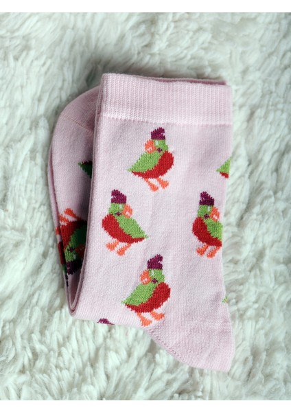 Organik Penye Pamuk Desenli 12'li Çocuk Çorabı modelleri