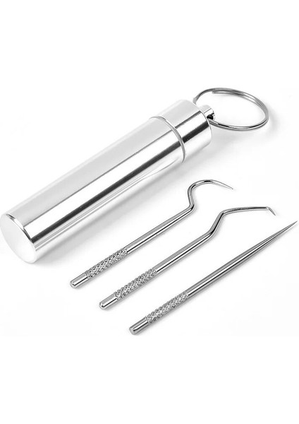 304 Taşınabilir Yeniden Kullanılabilir Paslanmaz Çelik Kürdan Metal Diş Kazıyıcı Diş Seçtikleri Kanca Temizleme Kiti Kürdan Tutucu ile (Yurt Dışından) fiyatları