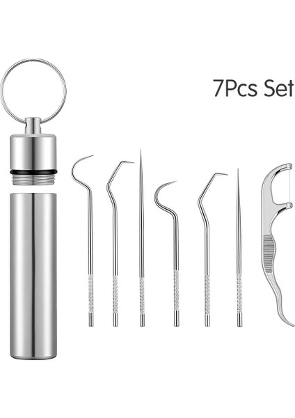 Takım Metal Paslanmaz Çelik Kürdan Seti Diş Temizleme Diş Diş Ipi Taşınabilir Ipi Kürdan Diş Temizleyici Depolama Tüpü ile (Yurt Dışından)