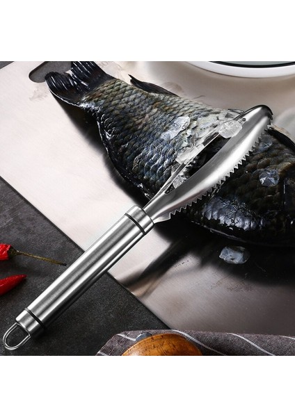 [sıcak] Paslanmaz Balık Terazisi Kazıma Rendeler Hızlı Temizleyici Cilt Temizleme Fırçası Temizleme Soyucu Kazıyıcı Kemik Ölçekleyici Maşa Cımbız Aracı (Yurt Dışından) fiyatları