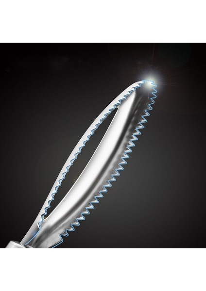 [sıcak] Paslanmaz Balık Terazisi Kazıma Rendeler Hızlı Temizleyici Cilt Temizleme Fırçası Temizleme Soyucu Kazıyıcı Kemik Ölçekleyici Maşa Cımbız Aracı (Yurt Dışından) modelleri