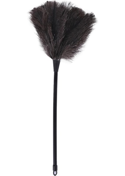 Plastik Saplı Temizleme Fırçası Aletli Devekuşu Tüyü Dusters (Yurt Dışından)